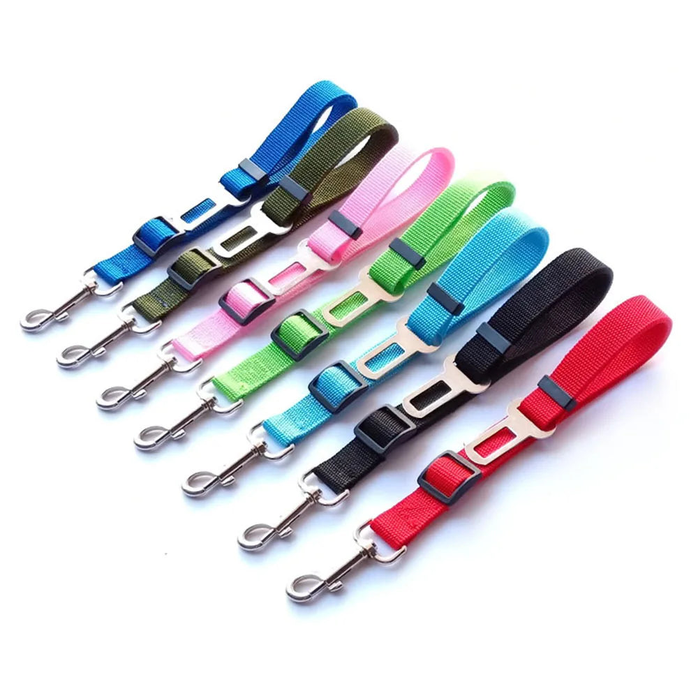 Ceinture de sécurité rétractable pour chien avec bande réfléchissante