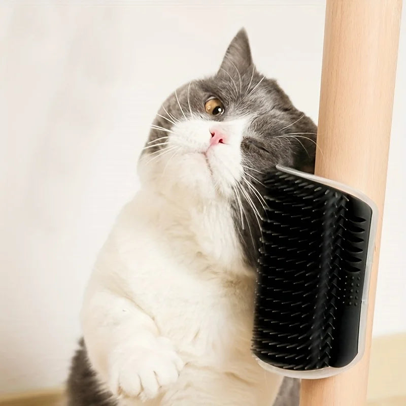 Brosse de massage murale pour chats, chatons et petits chiens
