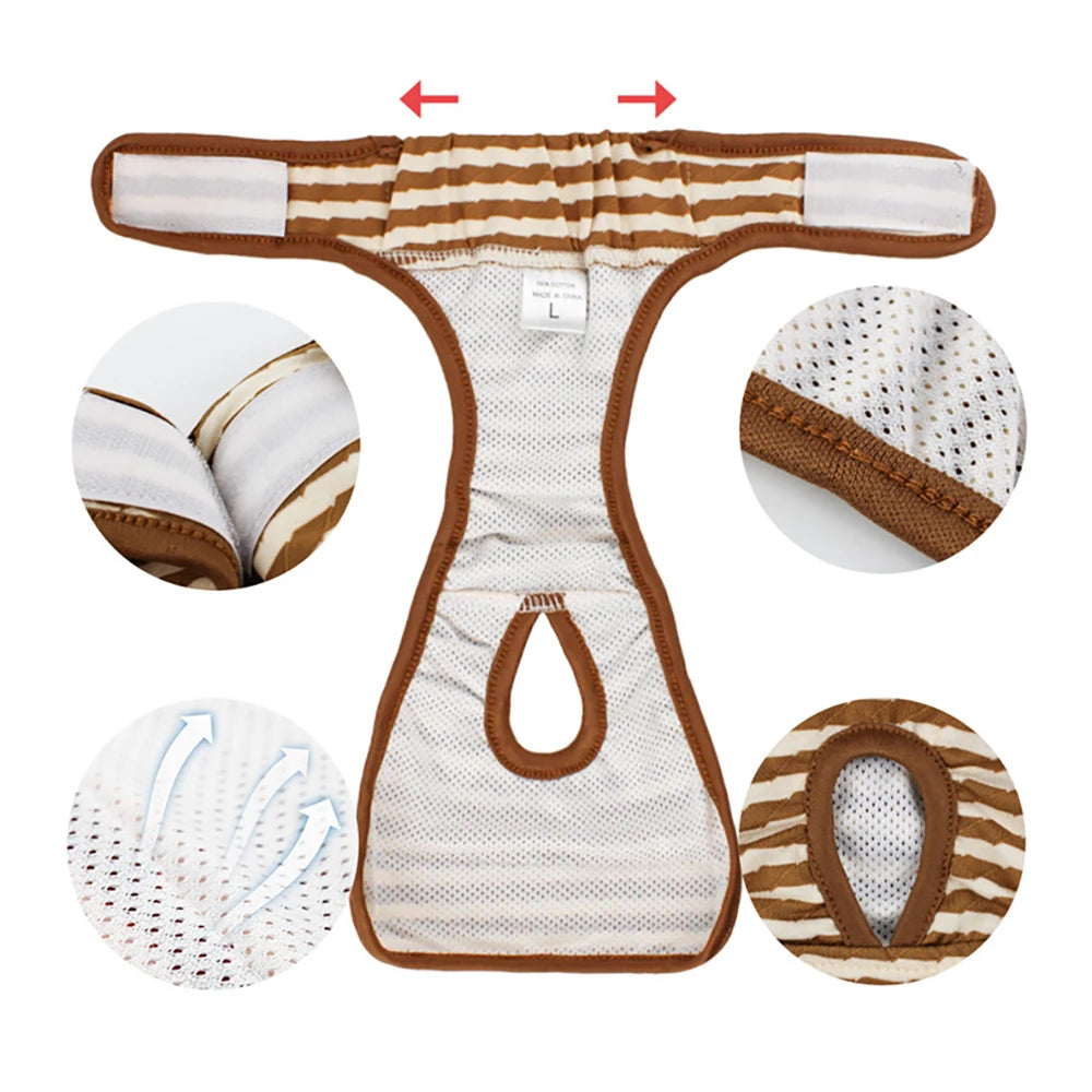 Washable Physiological Pants & Sanitary Briefs for Female Dogs & Cats