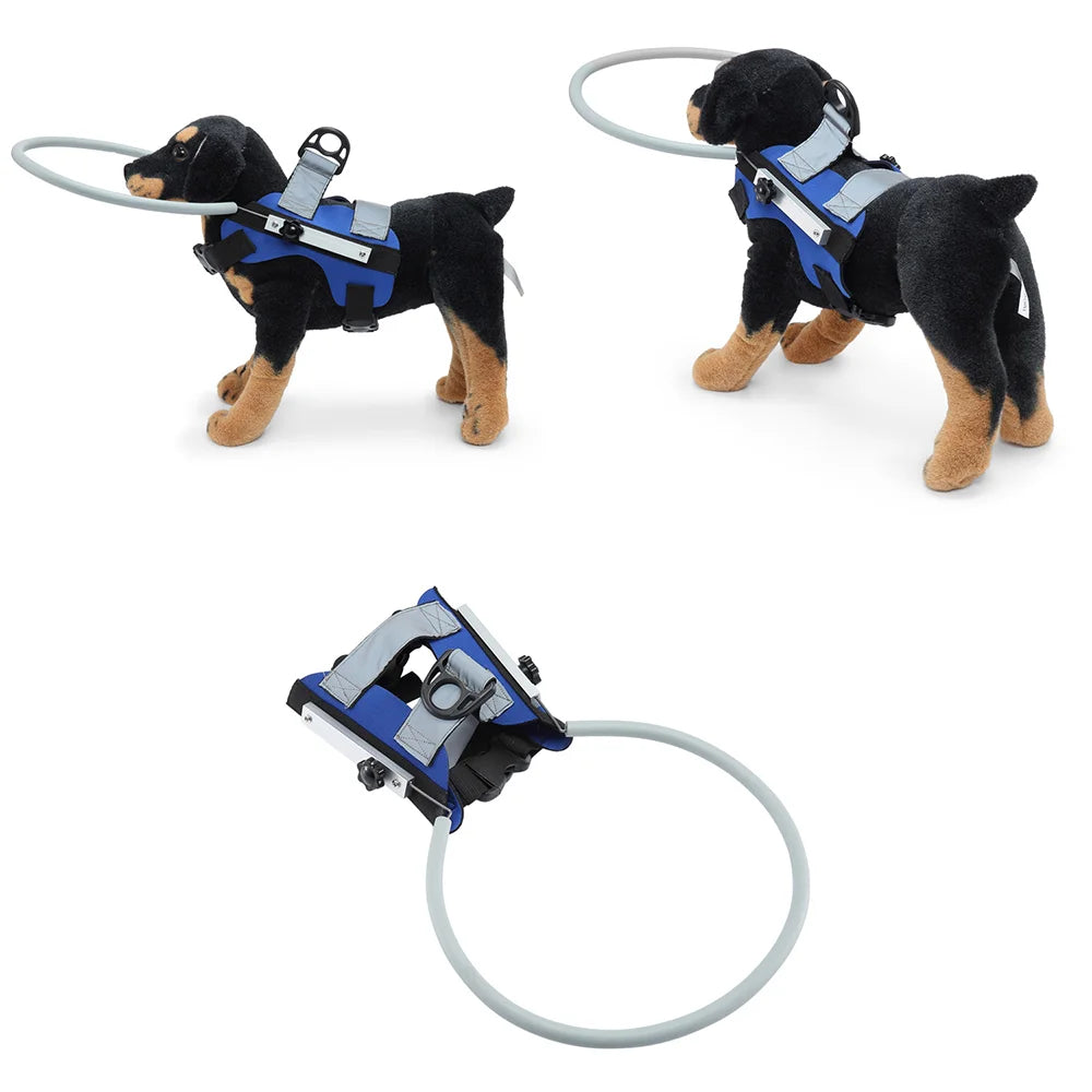 Anti-Collision Halo Collar for Blind & Visually Impaired Dogs