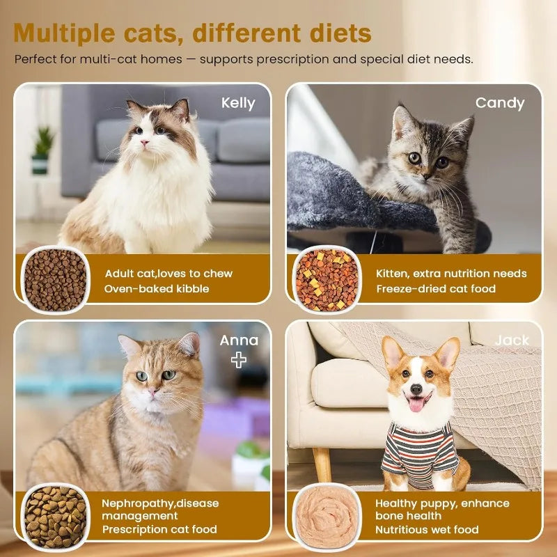 RFID Selective Cat Feeder with Ice Pack Cooling