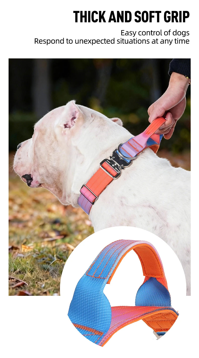 Wide Padded Dog Collar with Handle | Gradient Design for Large Dogs