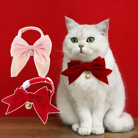 Velvet Bow Cat Collar with Bell - Decorative Breakaway Kitten Collar