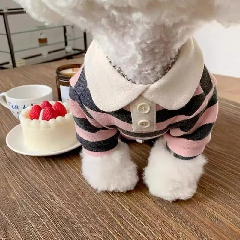 Chemise de luxe premium pour chien
