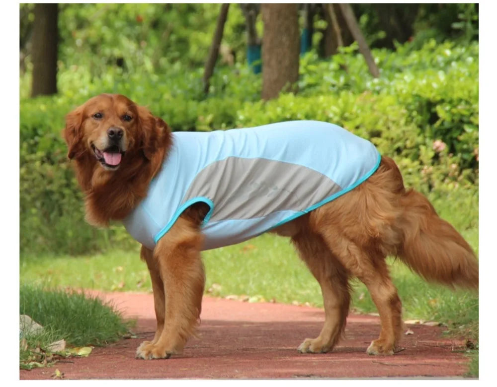 Reflective Cooling Vest for Dogs & Cats