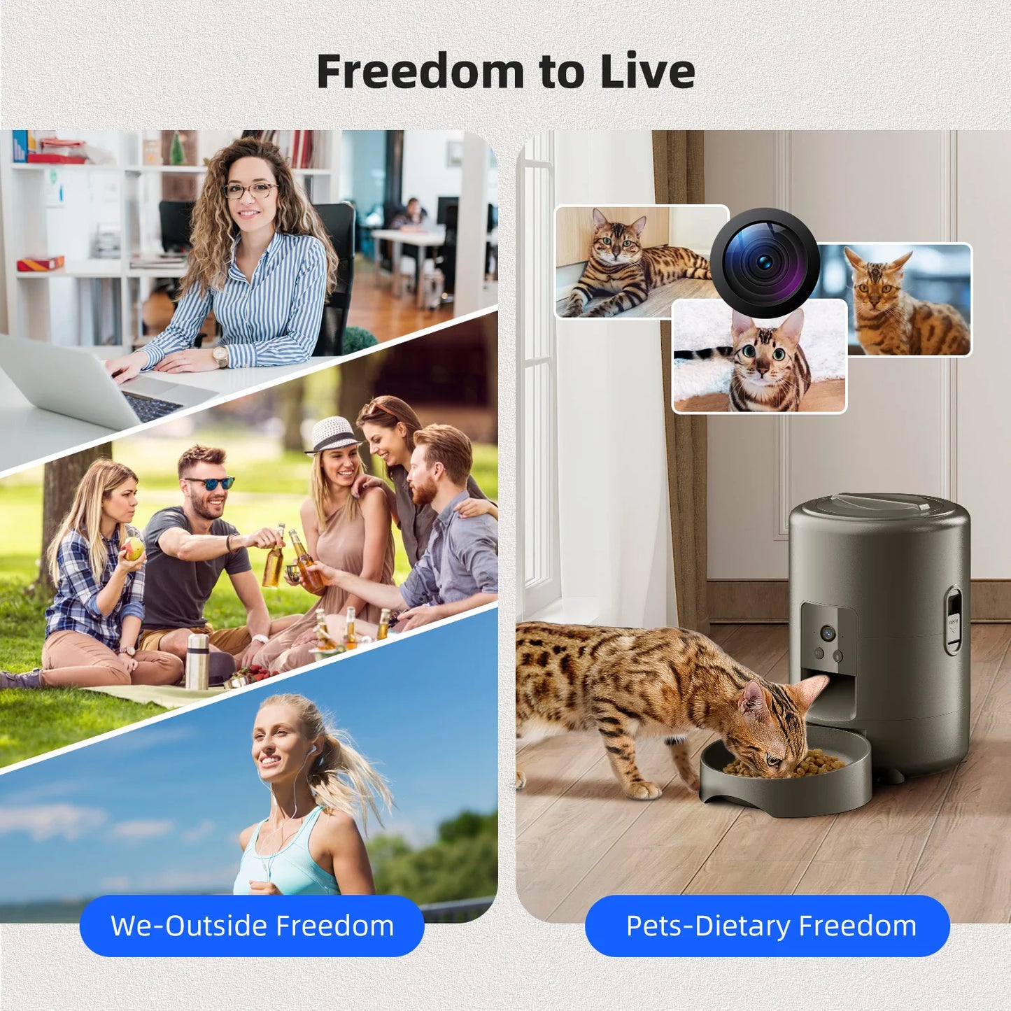 Distributeur automatique de nourriture pour chats 2 L avec vidéo, alimentation intelligente chronométrée et quantitative, gamelle pour chats, chiens et animaux de compagnie contrôlée par application