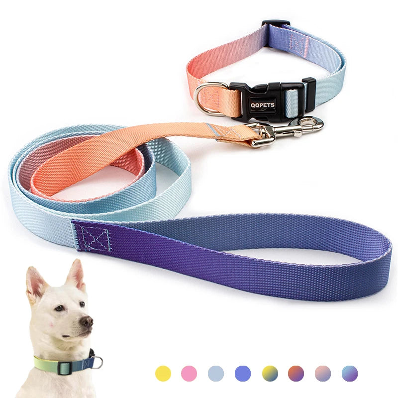 Ensemble Collier et Laisse Ajustables pour Chien