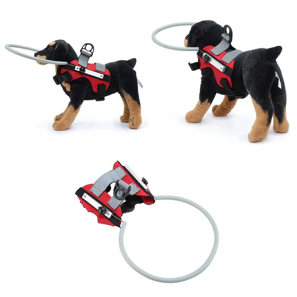 Anti-Collision Halo Collar for Blind & Visually Impaired Dogs