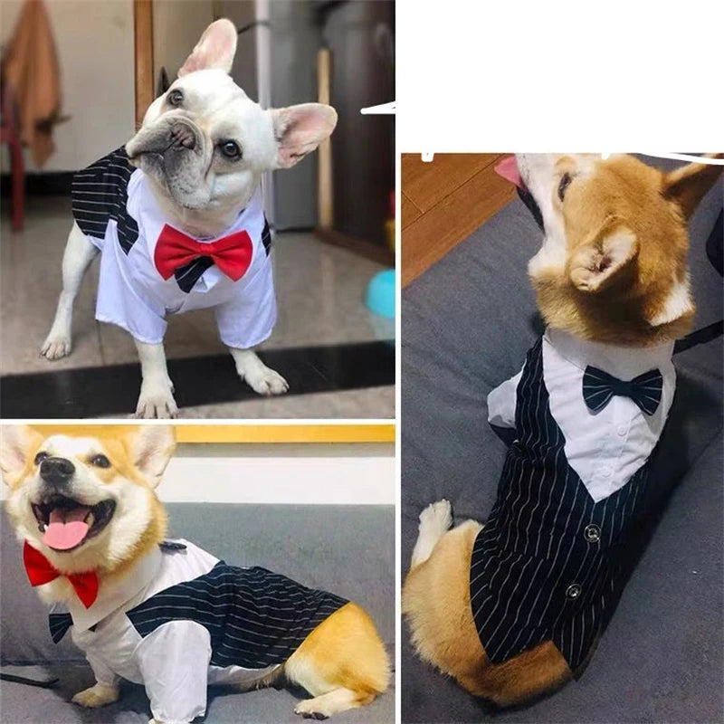 Striped Tuxedo Jacket with Bow for Small Dogs & Cats