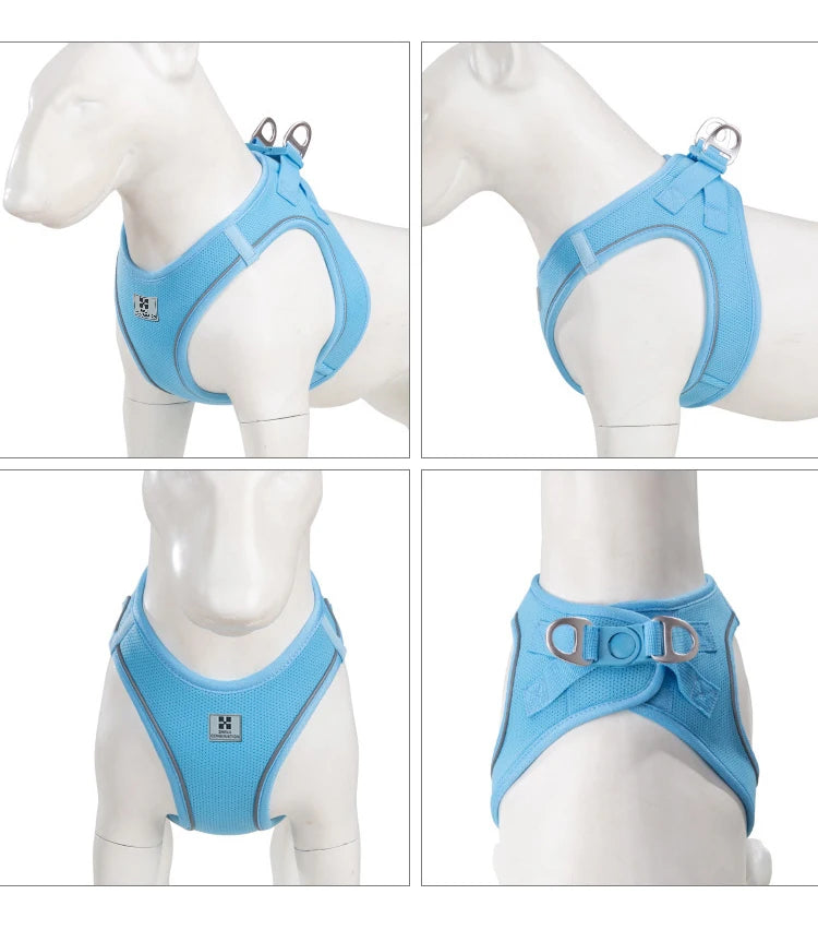 Reflective Dog & Cat Harness with Leash Set