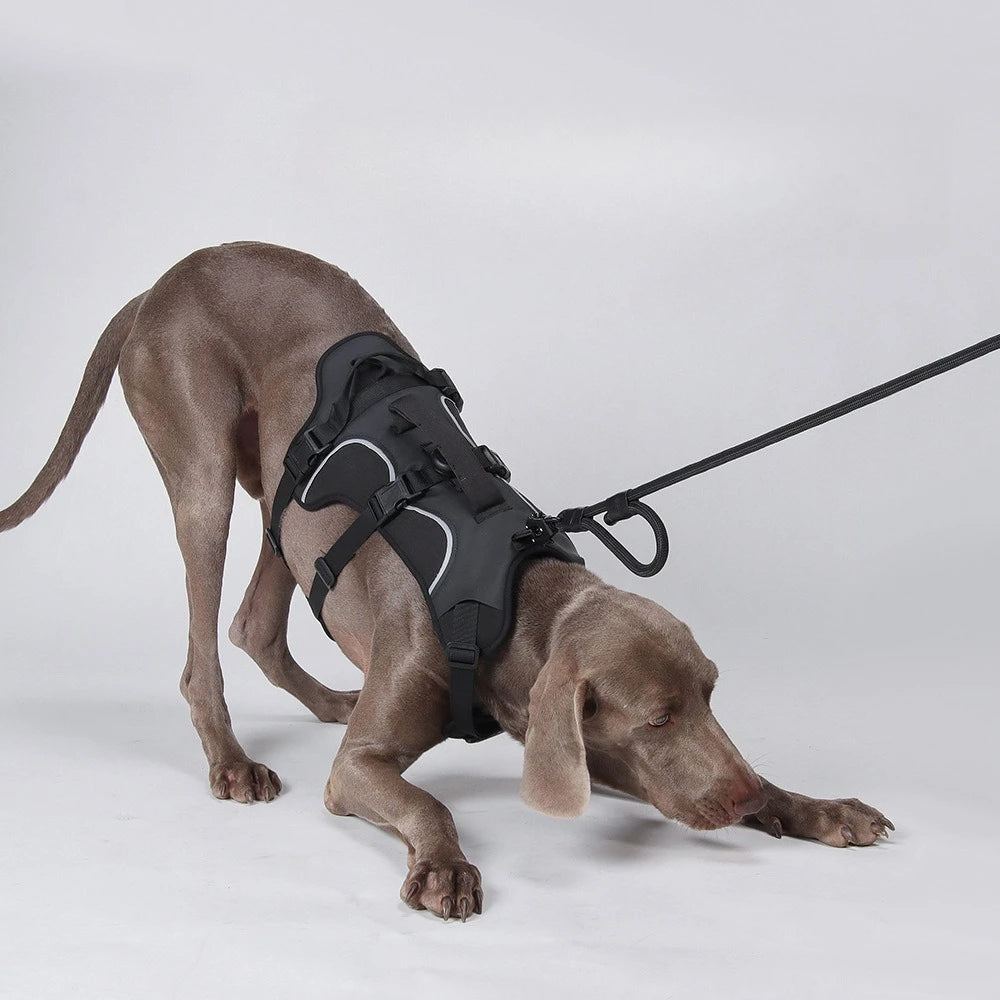 Harnais Tactique Militaire pour Grands Chiens