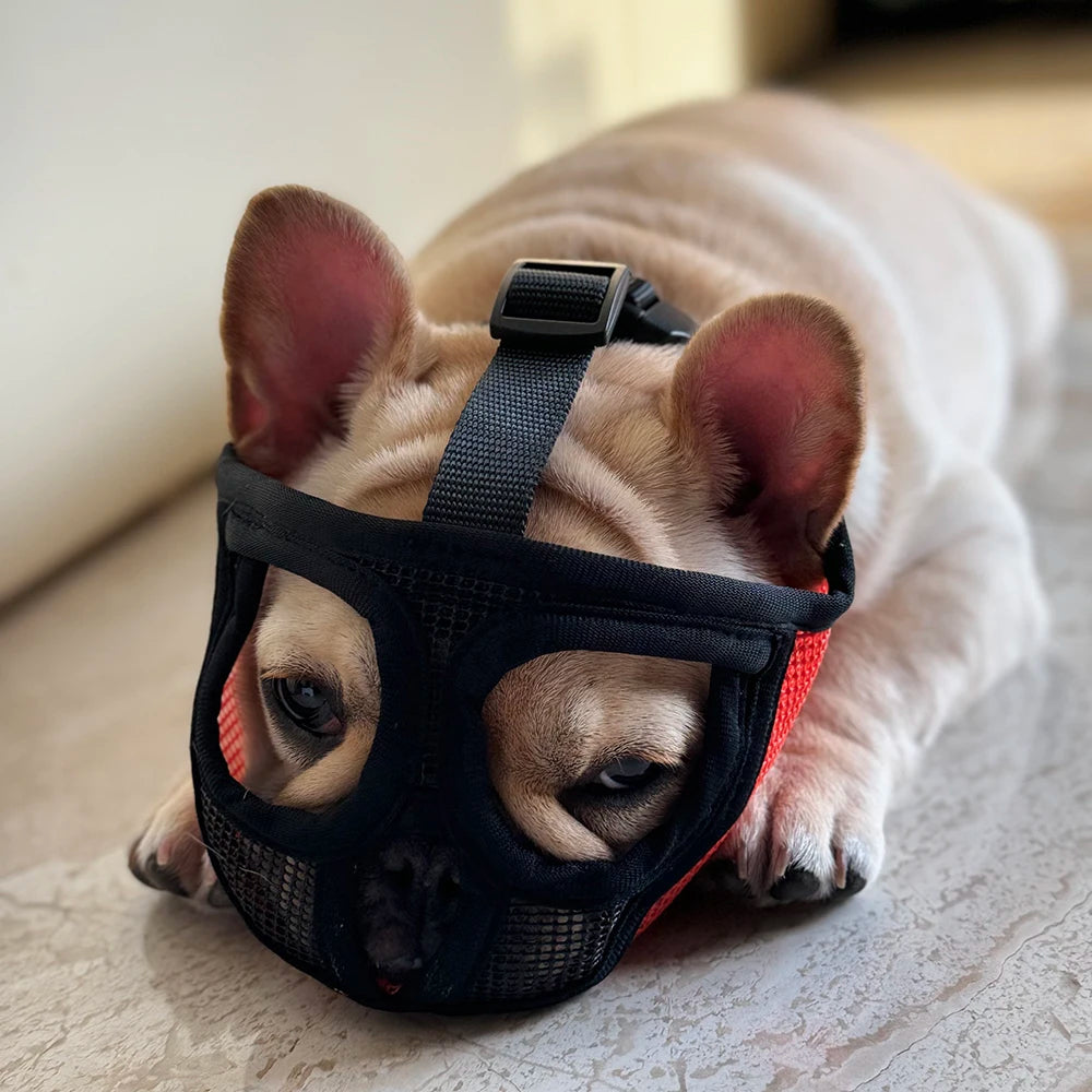 Breathable Mesh Dog Muzzle | Anti-Bite & Anti-Ingestion