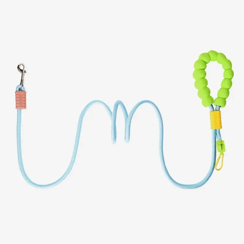 Ensemble laisse et collier premium pour chiens - Chiens de petite à moyenne taille