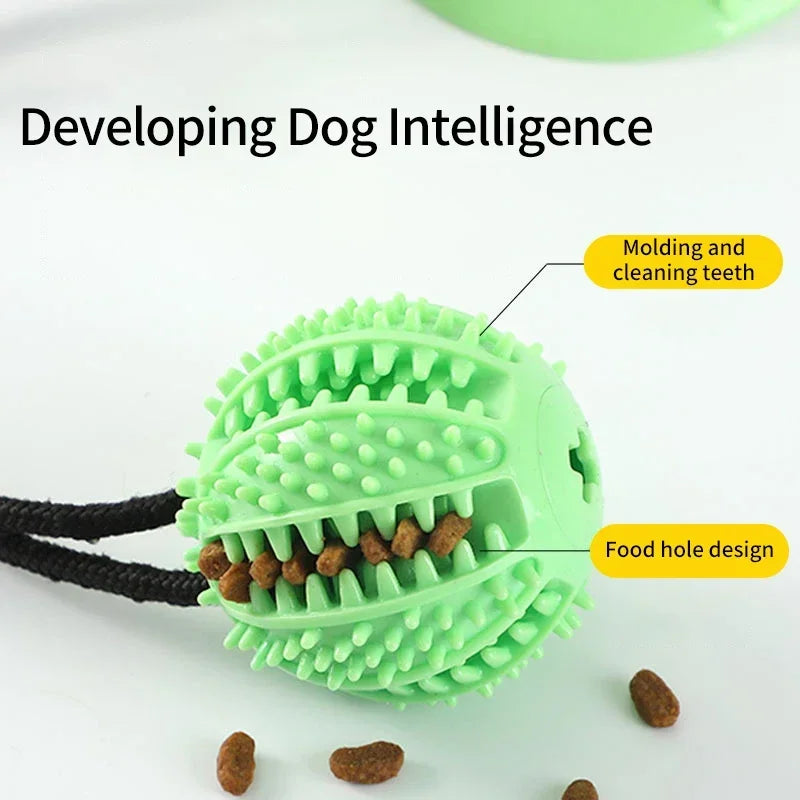 Suction Cup Tug Toy with Ball