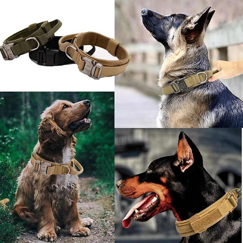 Tactical Military Nylon Dog Collar with Control Handle & Metal Buckle