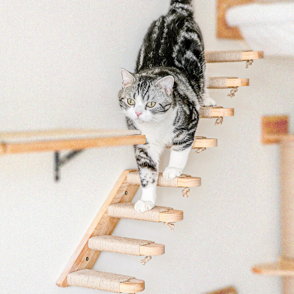 Wall-Mounted Wooden Cat Climbing Steps with Sisal