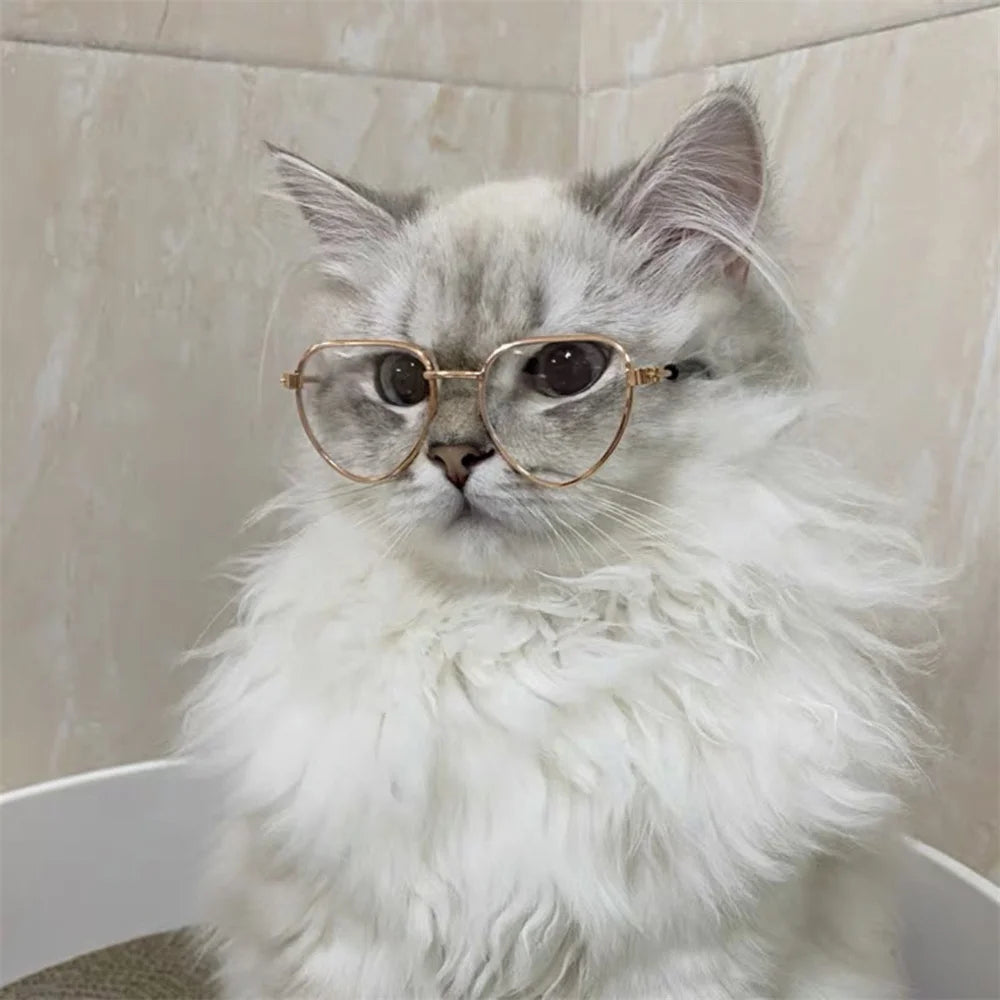 Heart-Shaped Sunglasses for Cats & Kittens