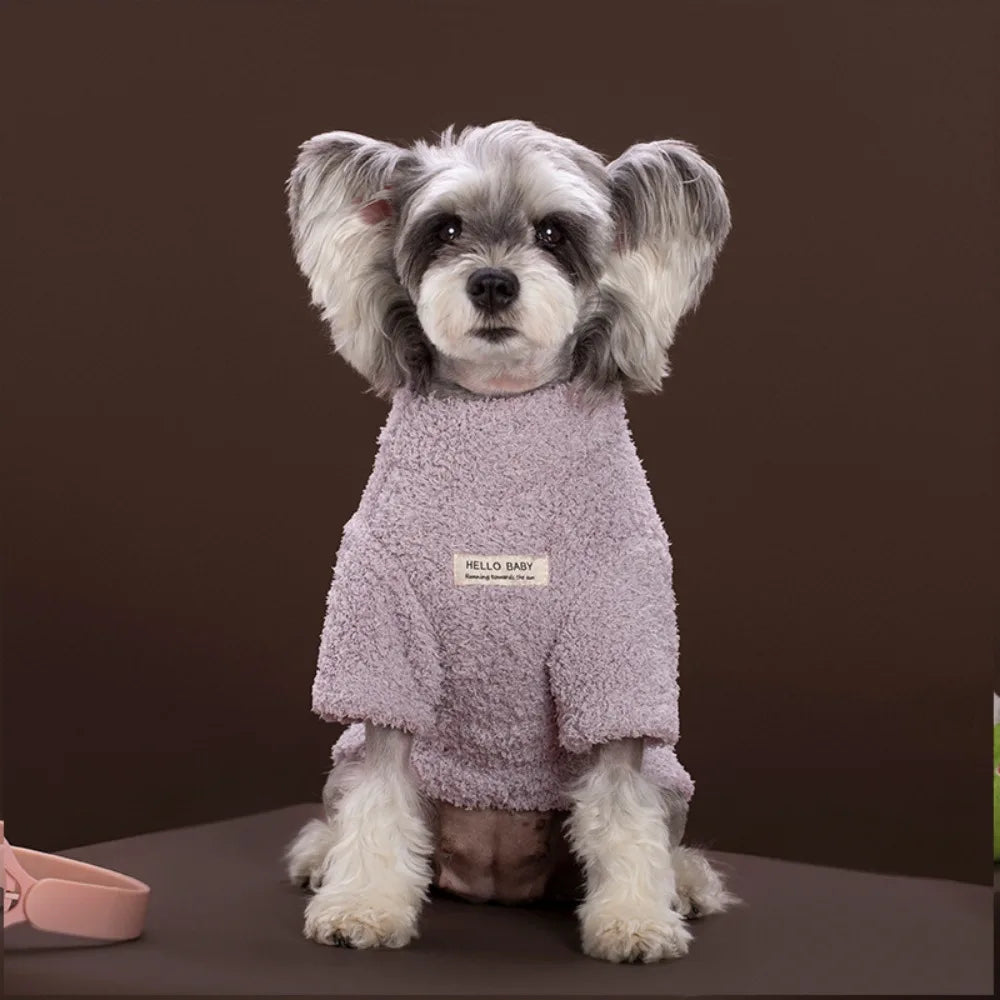 Veste polaire douce et manteau chaud pour petits et moyens chiens et chats
