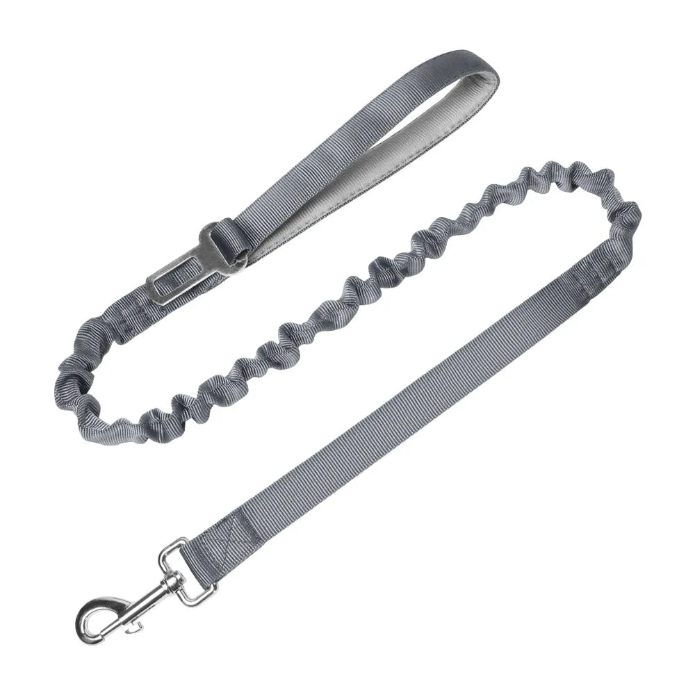 Heavy-Duty Bungee No-Pull Training Leash for Large Dogs
