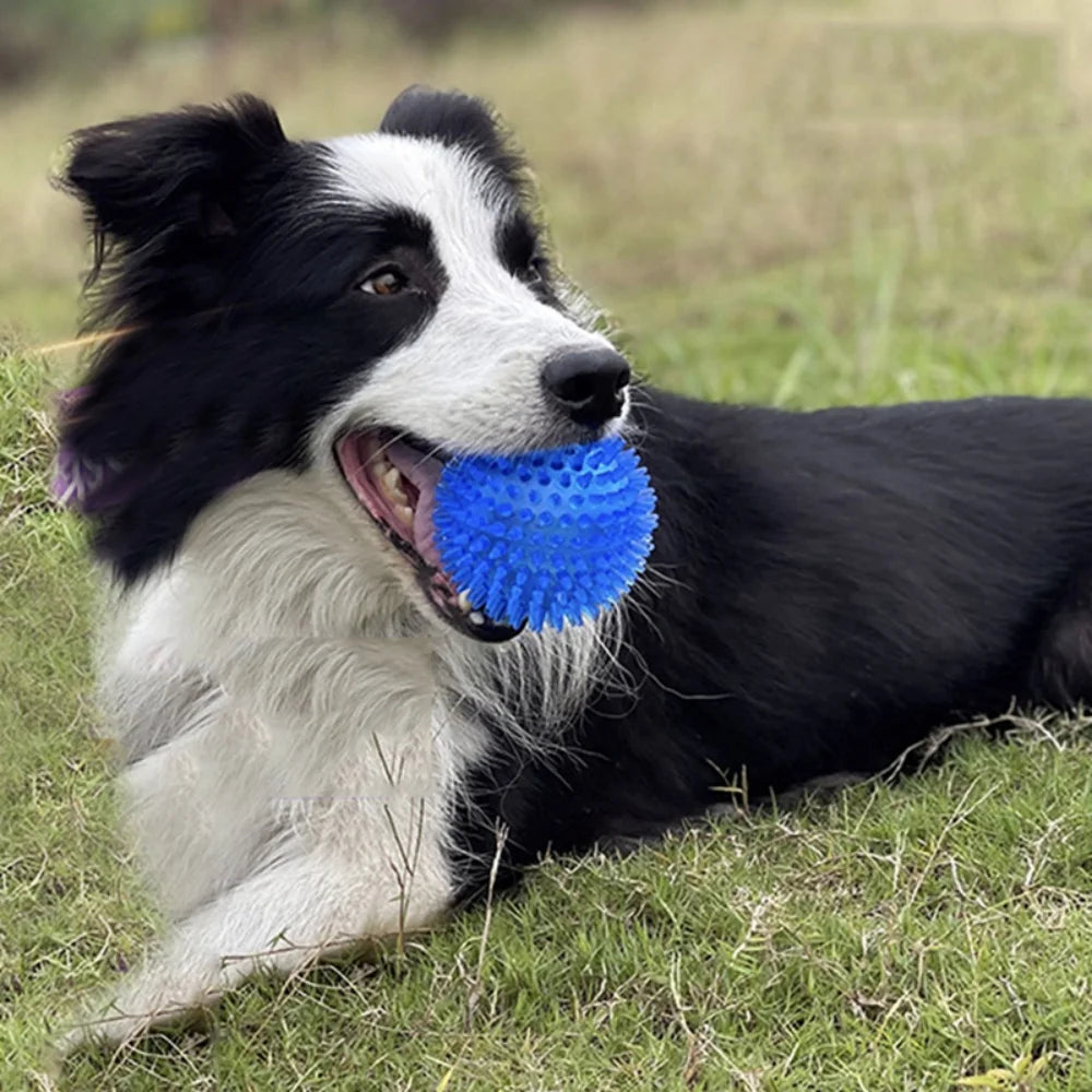 Squeaky Rubber Play Ball for Dogs