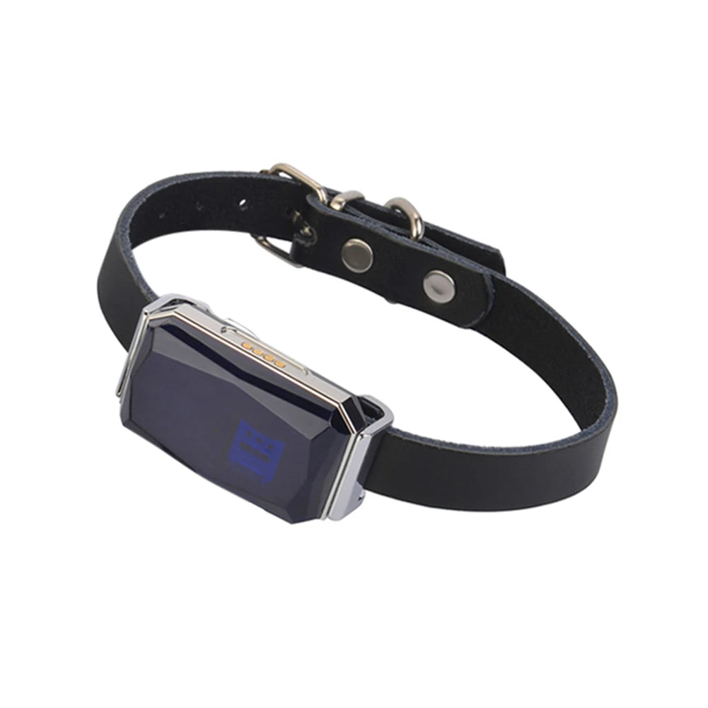 G12 IP67 GPS Tracker for Pets, Kids & Elderly — Up to 10-Day Battery