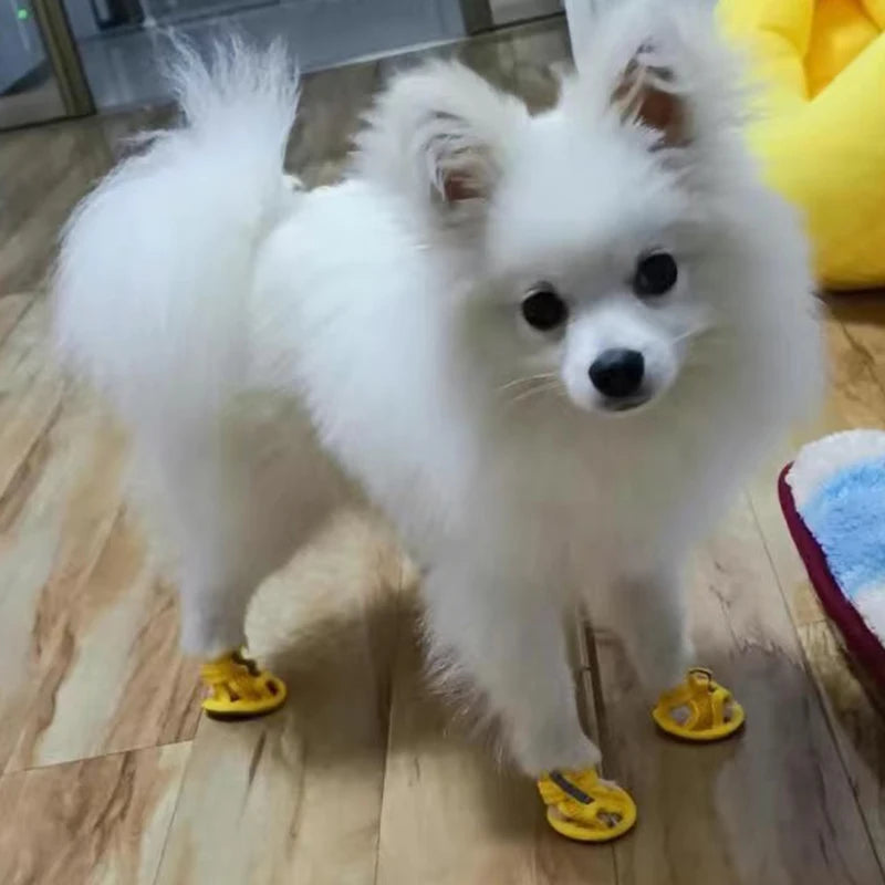 Mesh Sandal Shoes for Small Dogs & Cats — Set of 4