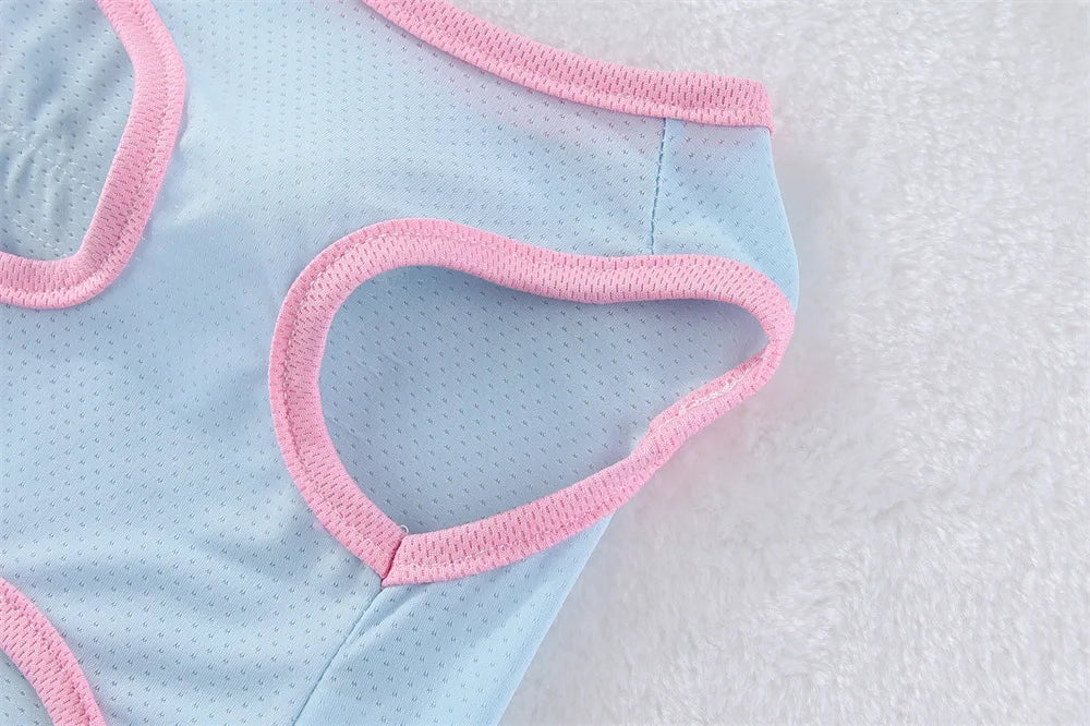 Breathable Mesh Cooling Vest with D-Ring for Small Dogs