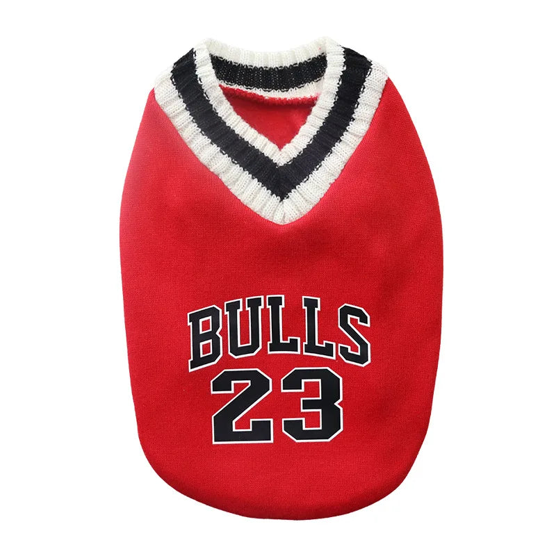 Pull pour chien style universitaire