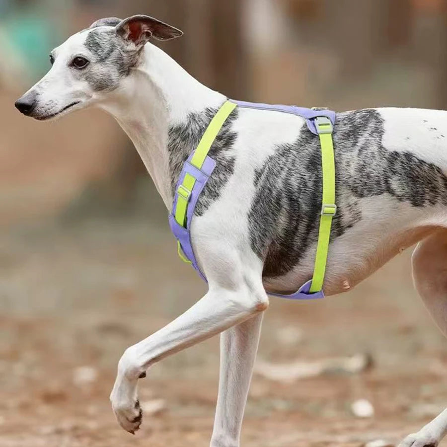 Lightweight No-Pull Reflective Dog & Cat Harness Vest