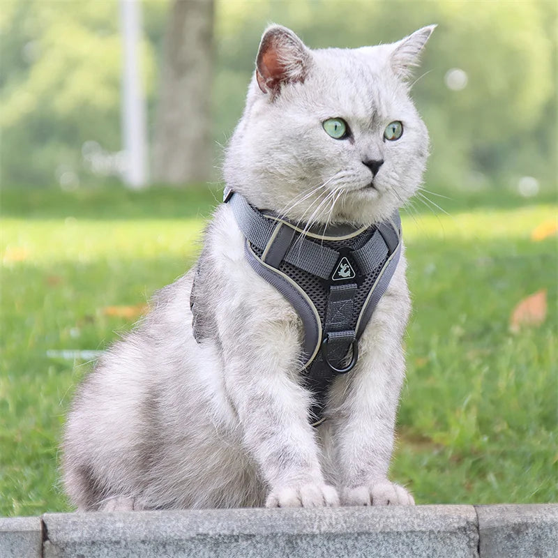 Reflective Mesh Cat & Dog Harness with Leash Set