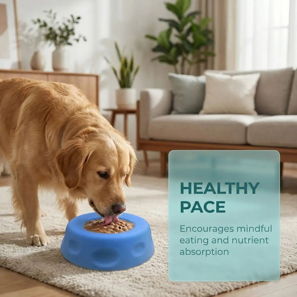 Interactive Dog Licking Bowl with Ball-Shaped Design