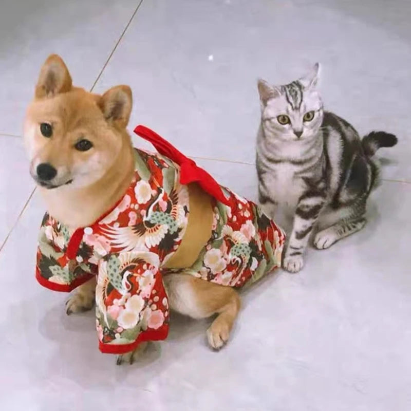 Japanese Kimono Costume for Cats & Dogs