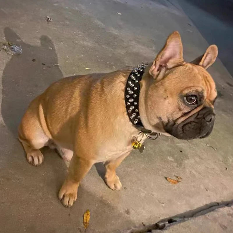 PU Dog Collar with Spike Rivet Adjustable Anti-Bite Pet Collars for Small Medium Large Dogs Bull Terrier Doberman Pinscher