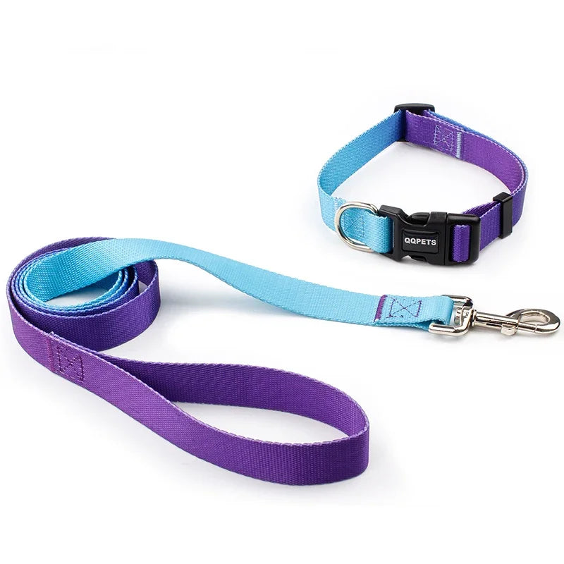Ensemble laisse et collier réglables en nylon pour chiens - Pour petits et grands chiens