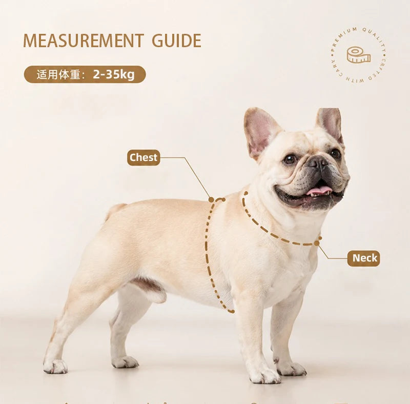 Lightweight Dog Harness & Leash Set Anti-Pull Escape-Proof Pet Walking Lead for Small Medium Large Dogs