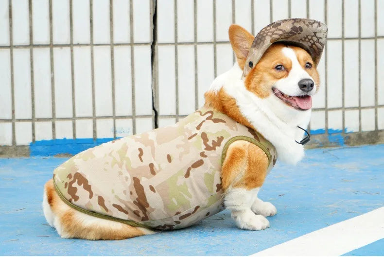 Mesh Cooling Vest & Sun Hat Set for Dogs