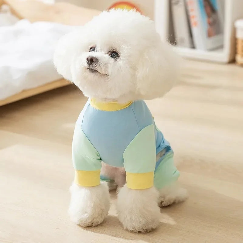 Vêtements d'été pour chiens - Respirants et élégants