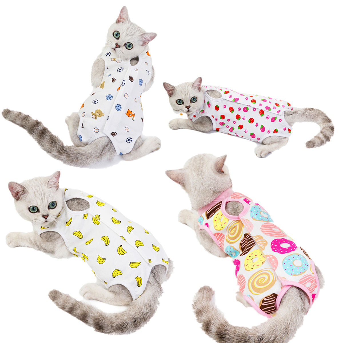 Combinaison de récupération post-opératoire pour chats et petits chiens