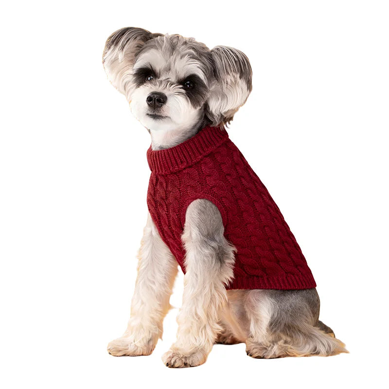 Pull en tricot pour chien | Pull chaud d'automne et d'hiver pour petits chiens et chiots