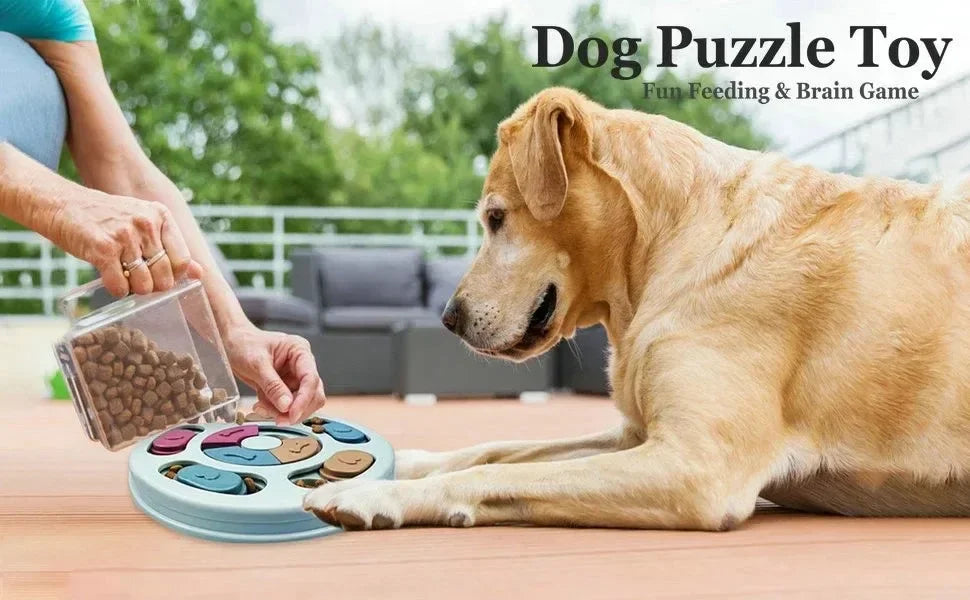 Non-Slip Puzzle Slow Feeder Bowl – Interactive Food Game for Dogs & Cats