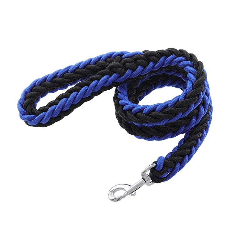 Heavy-Duty Nylon Dog Lead