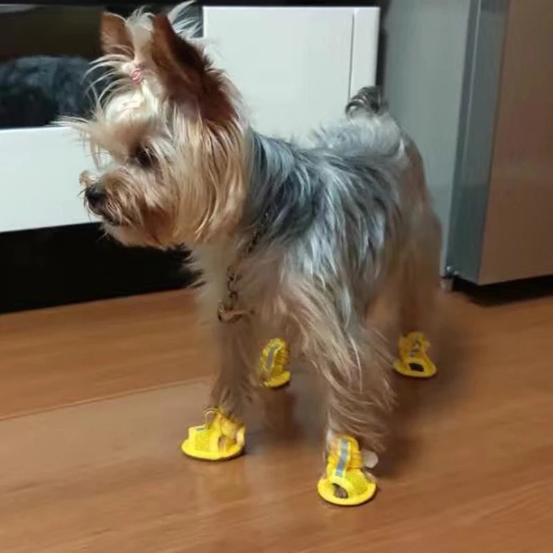 Mesh Sandal Shoes for Small Dogs & Cats — Set of 4