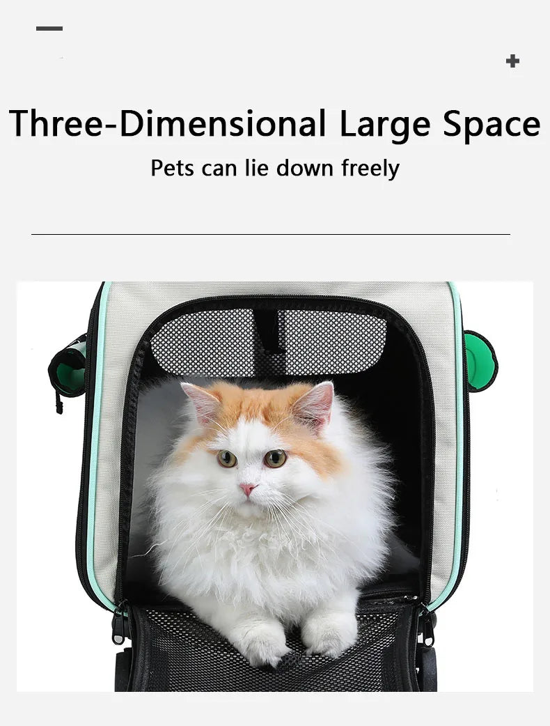 Airline Approved Collapsible Soft-Sided Pet Carrier — Travel Cat & Dog Carrying Case