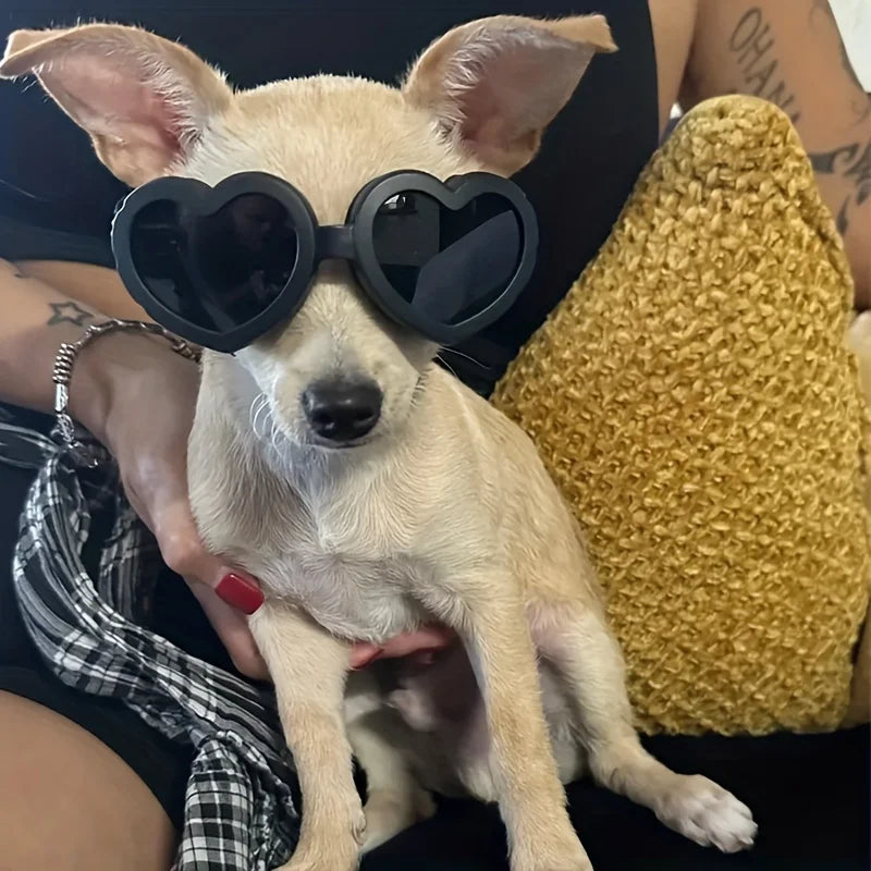 Lunettes de soleil de protection UV pour animaux de compagnie - Protection élégante des yeux pour chiens et chats