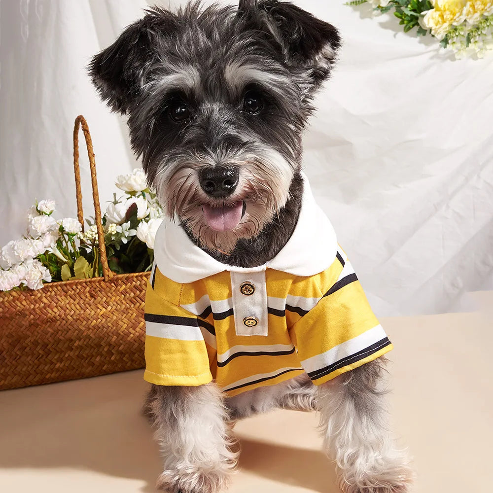 Classic Stripe Polo Shirt for Cats & Small Dogs