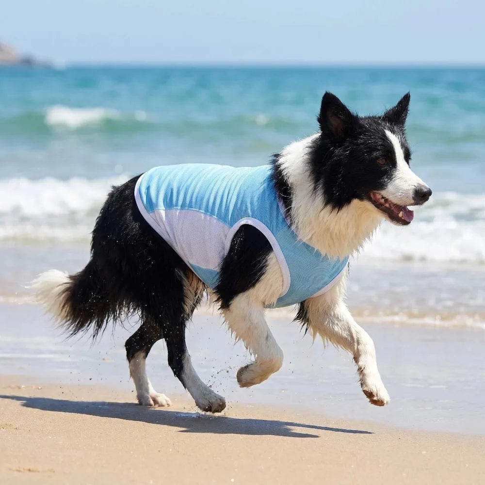 Ice Silk Cooling Vest with Sun Protection for Dogs & Cats