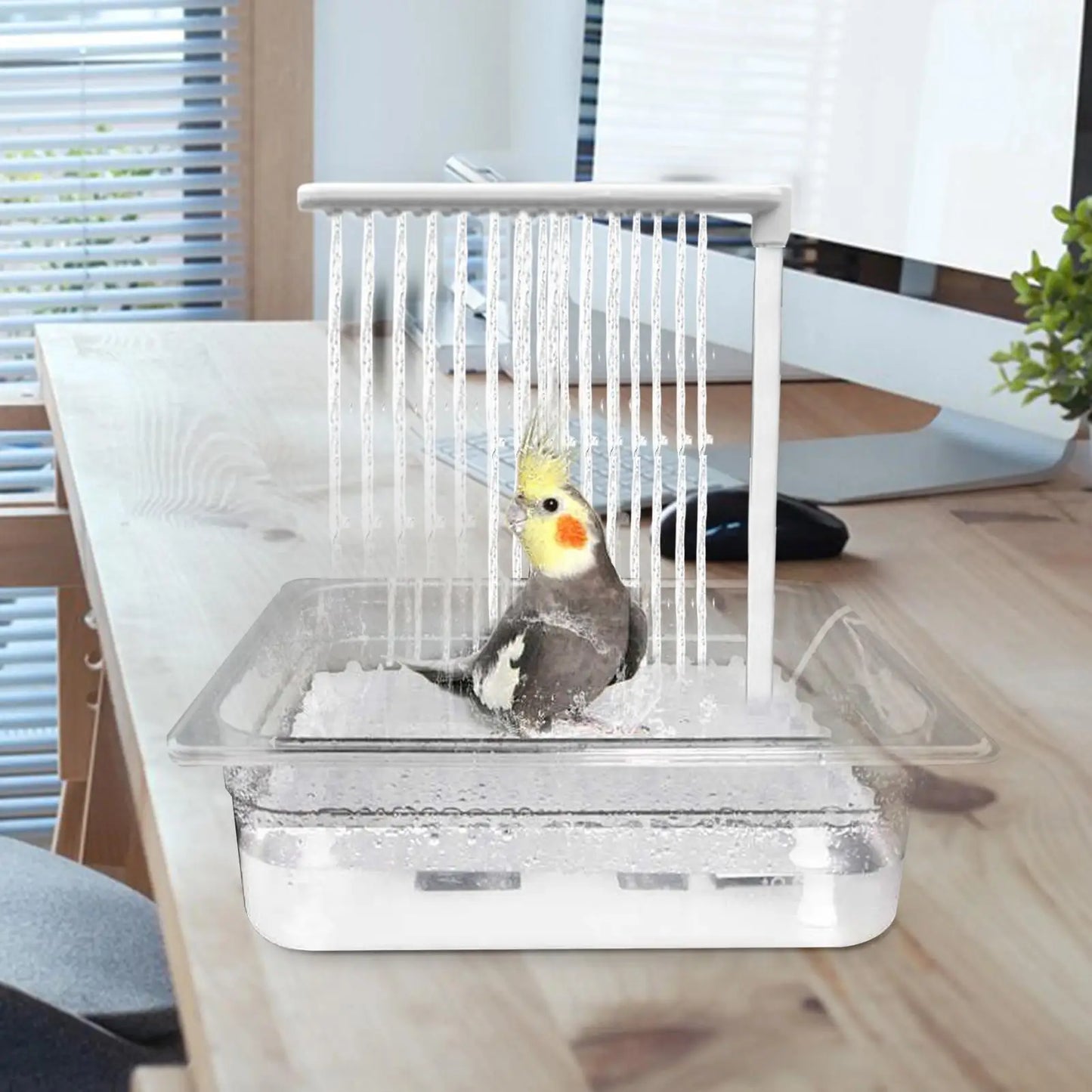 Automatic Bird Bath Fountain with USB Pump for Parrots & Cage Birds