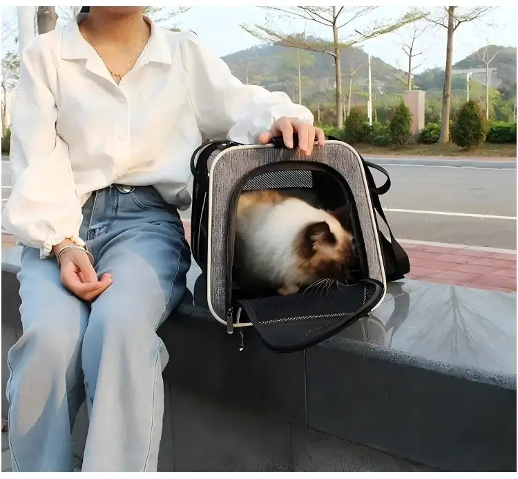 Foldable Pet Travel Carrier