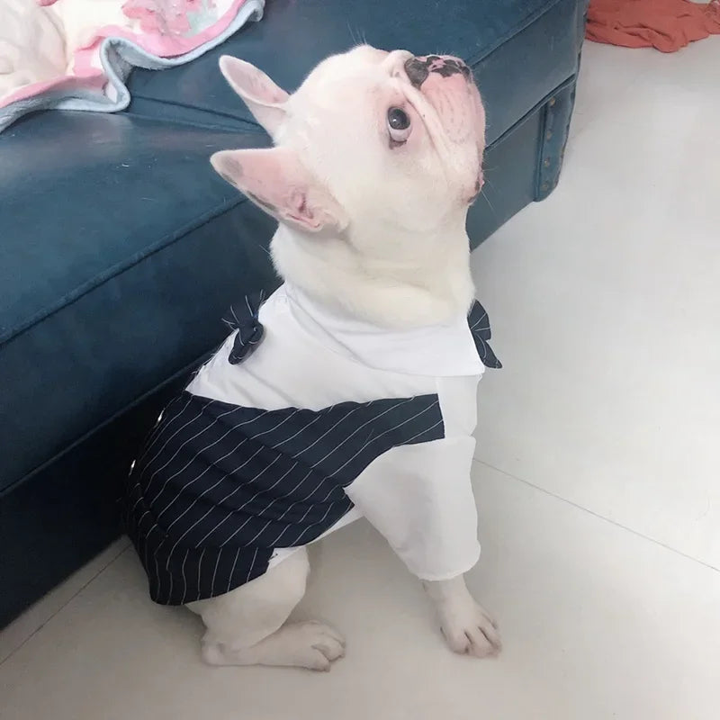 Striped Tuxedo Jacket with Bow for Small Dogs & Cats
