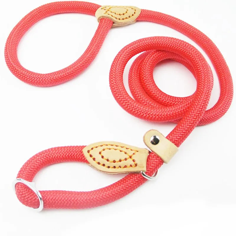 Laisse-collier chien - Corde tressée robuste avec boucle réglable pour grands chiens